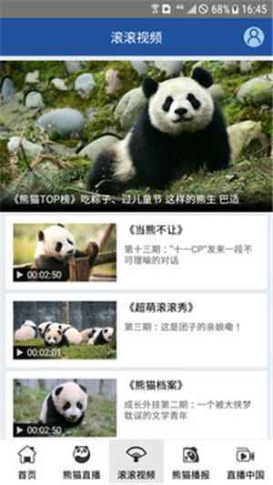 熊猫频道app下载安装
