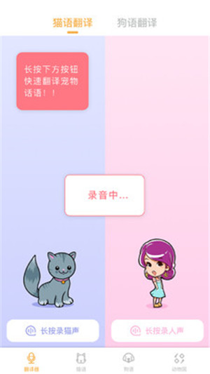 翻译猫语软件苹果版下载