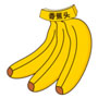 香蕉头app