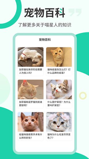 猫咪翻译器软件苹果版