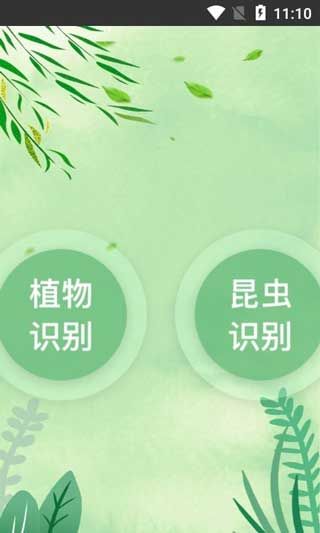 一叶识木植物识别软件app下载