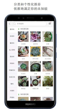 拍照识别植物app预约