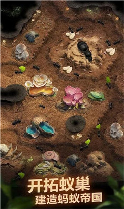 荒野蚂蚁模拟游戏2022破解版下载