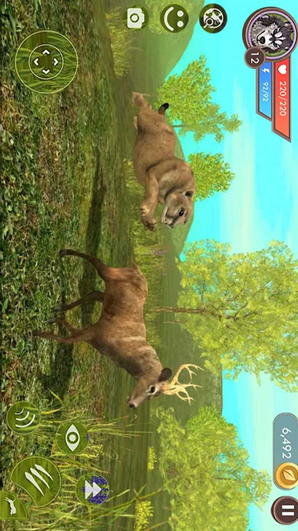 荒野猎豹模拟器