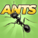 口袋蚂蚁模拟器最新版