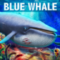 蓝鲸生存模拟器